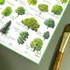 Alexia Claire Trees Species Wildlife Notepad | Conscious Craft